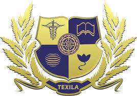Texila American University Zambia